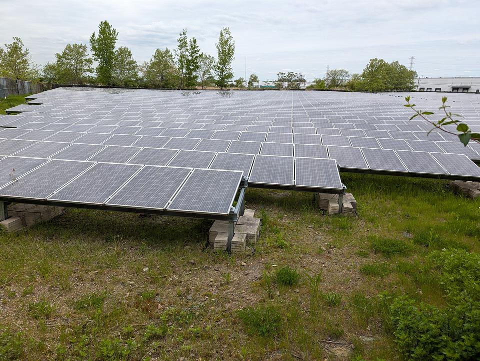 Solar panels in a field