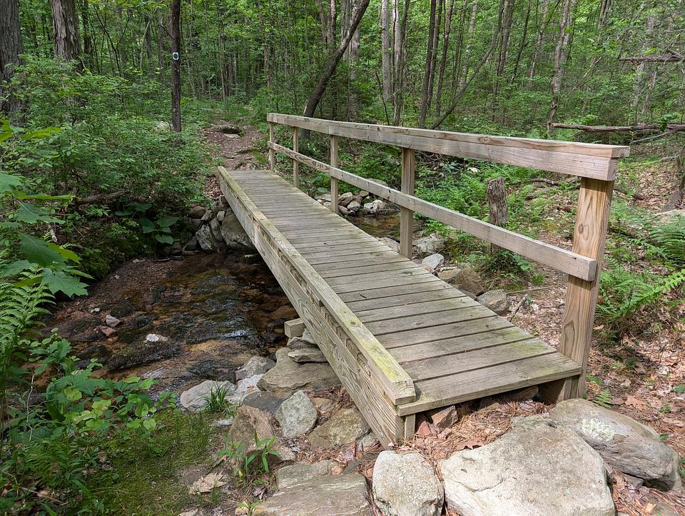 A wooden bridge cross a small stream.  There is a railing on the far side of the bridge.